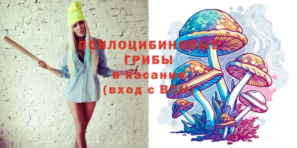 твердый Володарск