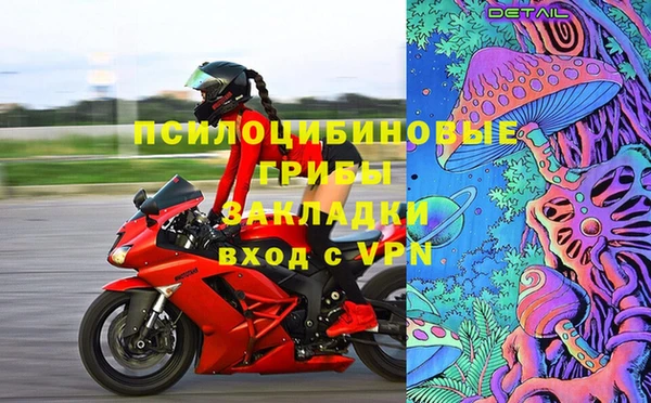 ГАЛЛЮЦИНОГЕННЫЕ ГРИБЫ Вязники