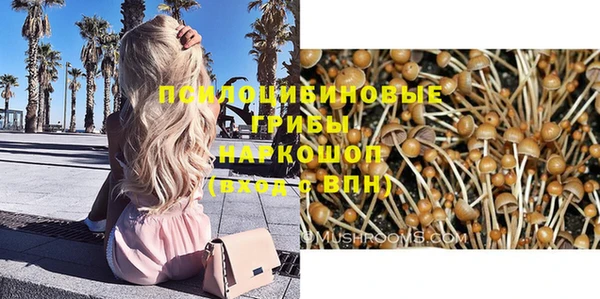 ГАЛЛЮЦИНОГЕННЫЕ ГРИБЫ Вязники