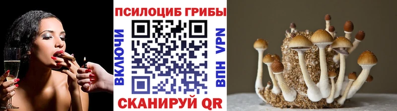 Псилоцибиновые грибы Psilocybine cubensis  Купить закладки  Плавск 